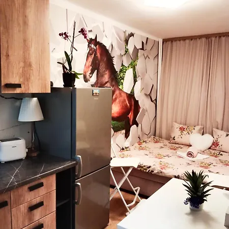 1010 B Centrum Apartment